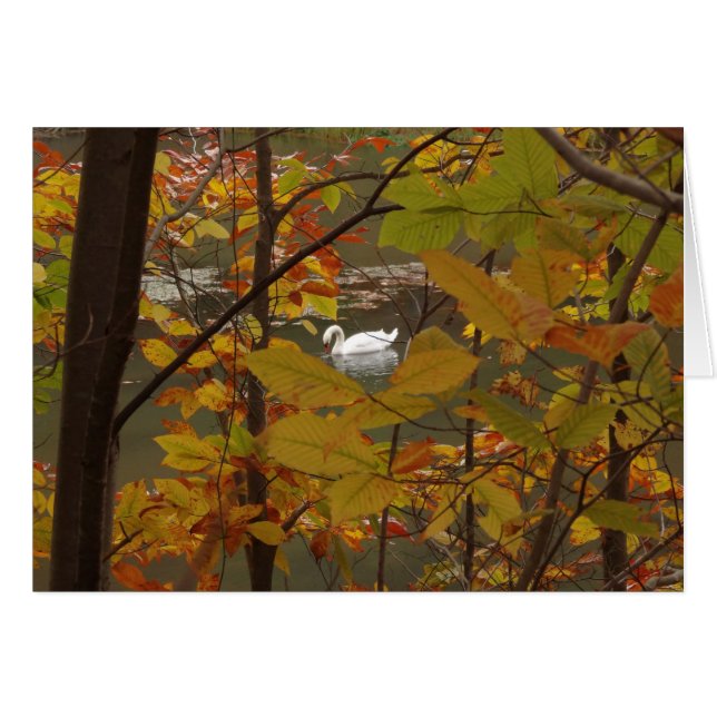 Autumn Pond with Swan Cards (Front Horizontal)