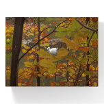 Autumn Pond with Swan Paperweight