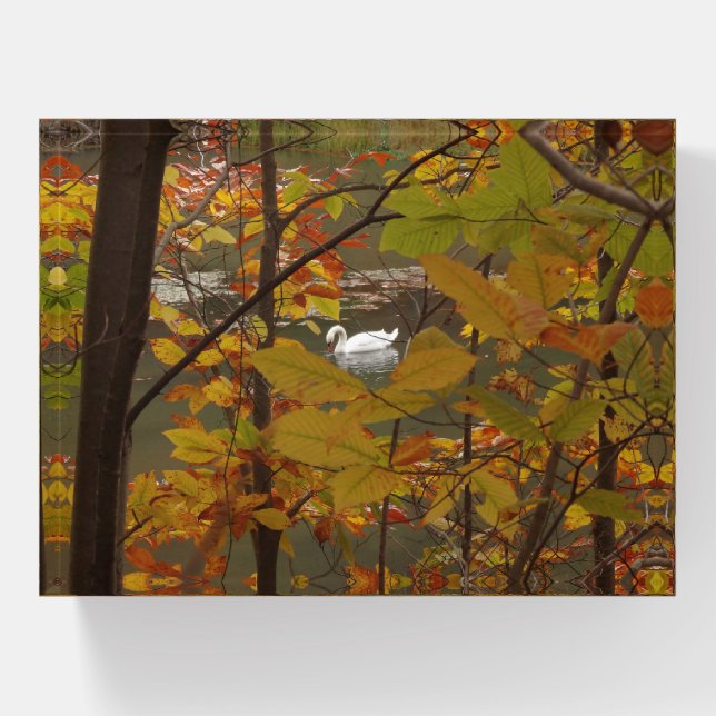 Autumn Pond with Swan Paperweight (Front)