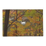 Autumn Pond with Swan Placemat