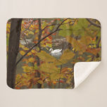 Autumn Pond with Swan Sherpa Blanket