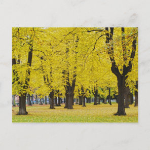 Autumn Postcard