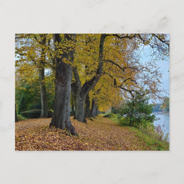 Autumn  postcard (Front)