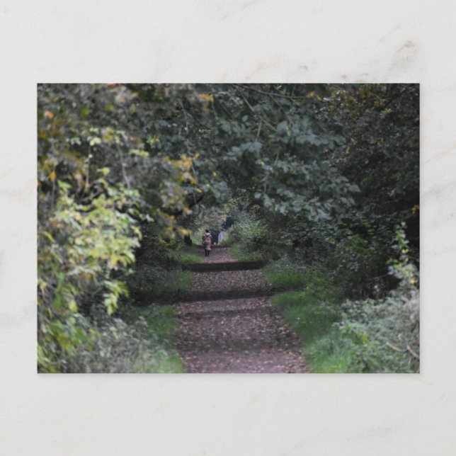 Autumn  postcard (Front)