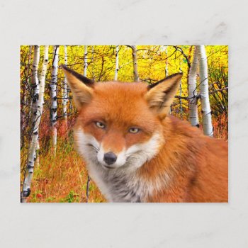 "autumn" Postcard by TabbyHallDesigns at Zazzle