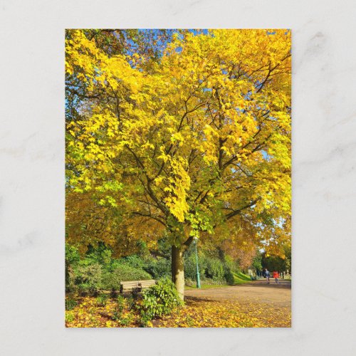 Autumn Postcard
