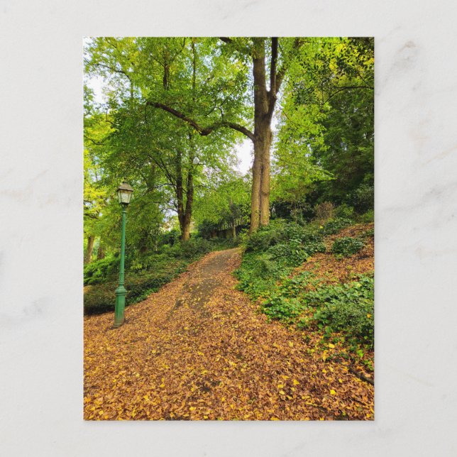 Autumn Postcard (Front)