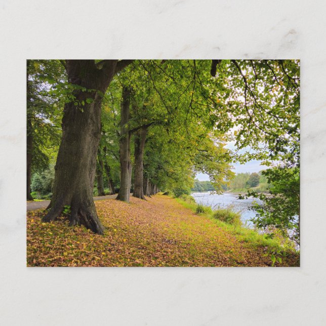 Autumn Postcard (Front)