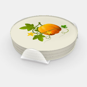 Autumn Pumpkin Coaster Set