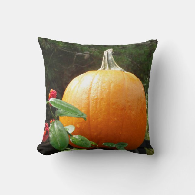 autumn pumpkin on a black fence throw pillow (Front)