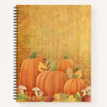 Autumn Pumpkins and Foliage Illustration