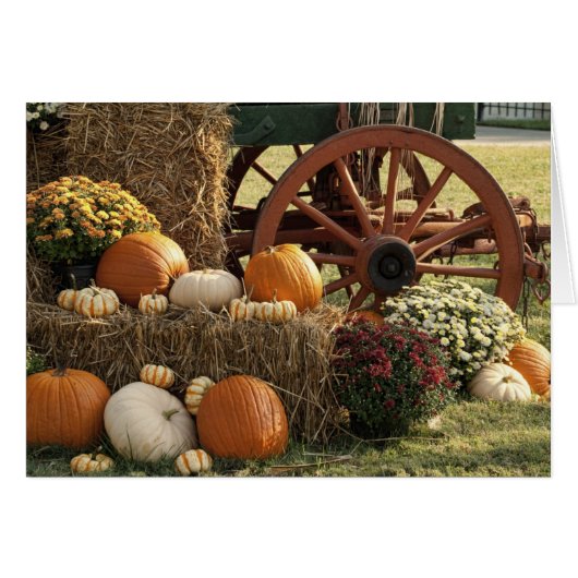 Autumn Pumpkins And Mum Display Cards (Front Horizontal)