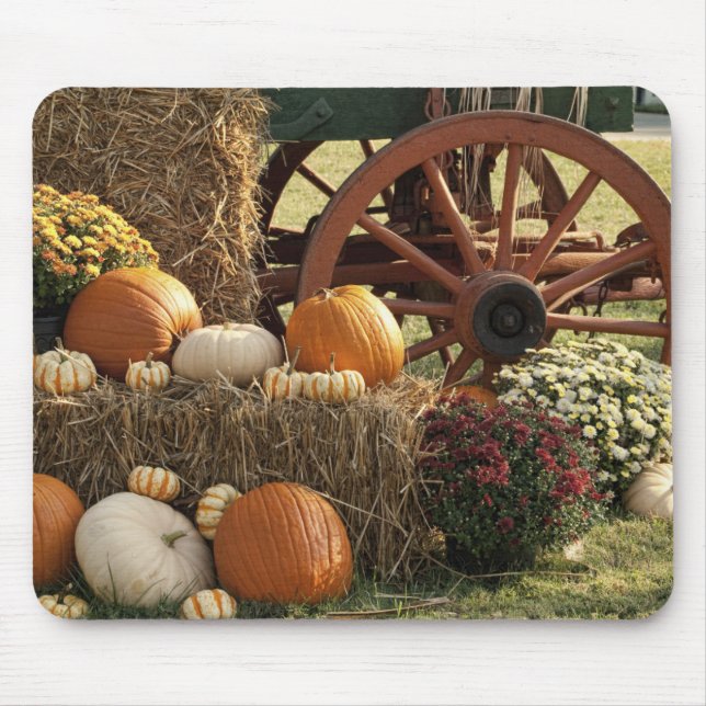 Autumn Pumpkins And Mum Display Mouse Pad (Front)