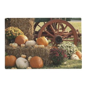 Autumn Pumpkins And Mum Display Placemat