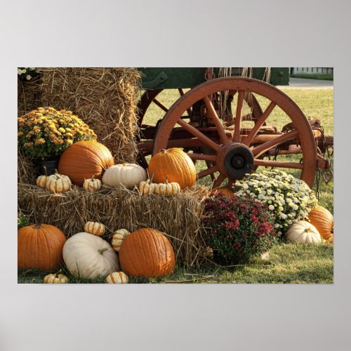 Autumn Pumpkins And Mum Display Poster