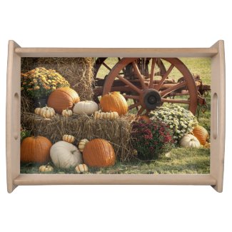 Autumn Pumpkins And Mum Display Serving Platters