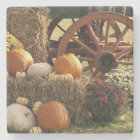 Autumn Pumpkins And Mum Display