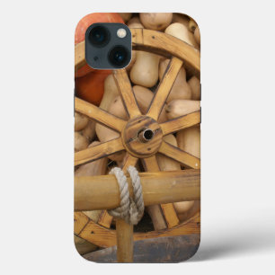 Autumn pumpkins iPhone 13 Case