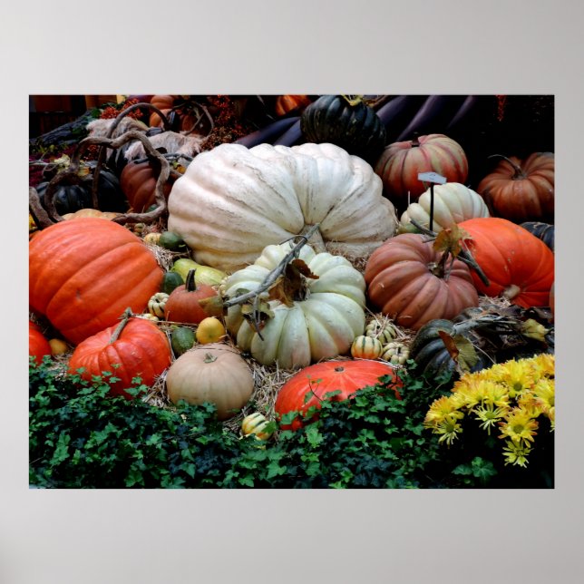 Autumn Pumpkins Fall Color Wedding  Poster (Front)