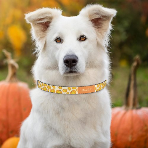 Autumn Pumpkins Halloween Fall Squash Orange Pet Collar