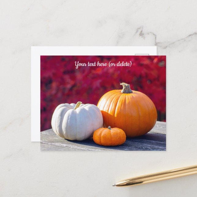 Autumn Pumpkins Holiday Postcard (Front/Back In Situ)