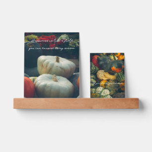  Autumn pumpkins in a rustic garden Picture Ledge