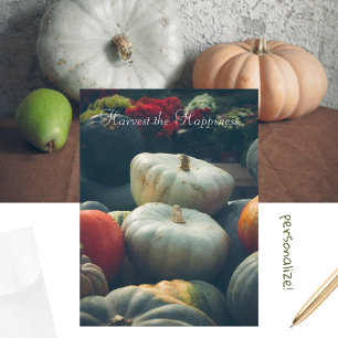 Autumn pumpkins in a rustic garden Postcard