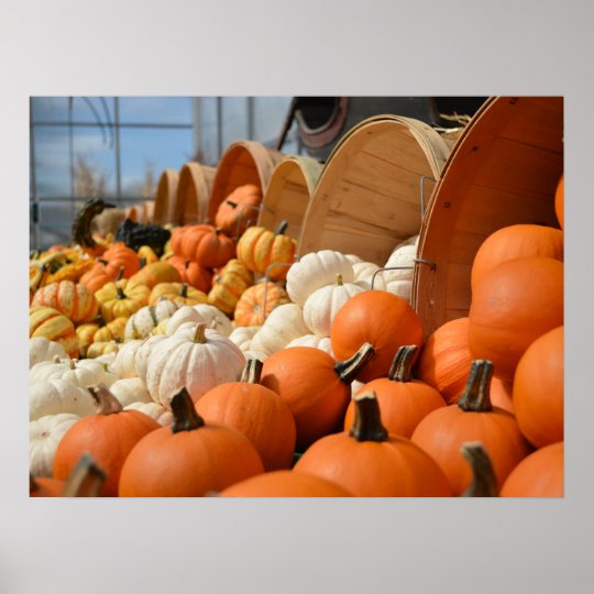 Autumn Pumpkins Poster | Zazzle.com