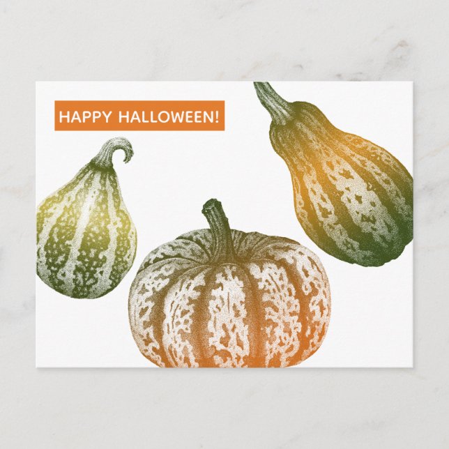 Autumn Pumpkins Stipple Drawing Postcard (Front)