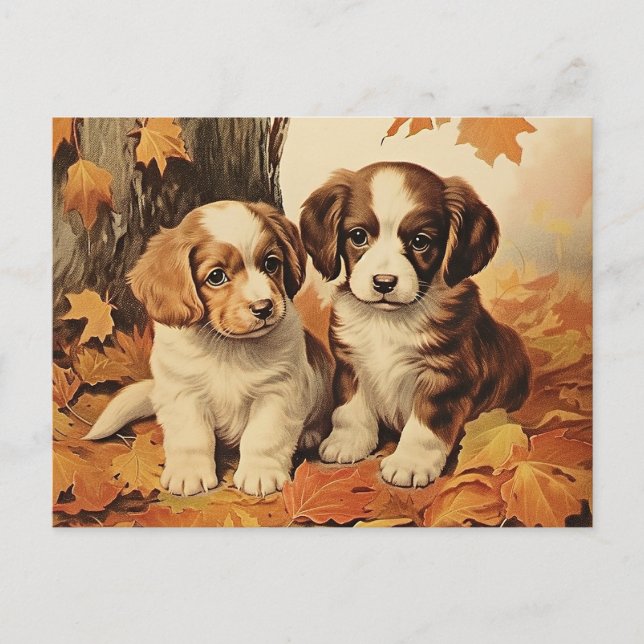 Autumn puppies and maple leaves, postcard (Front)