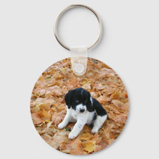 Autumn Puppy Keychain