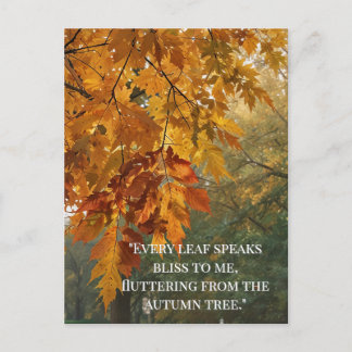 Autumn Quotes Forest Trees Leaves Ways Postcard