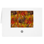 Autumn Rabbit on red Cards (Back Horizontal)