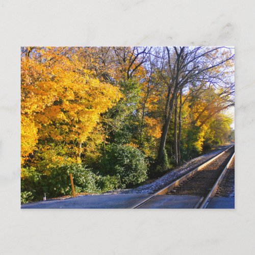 Autumn Railway Postcard