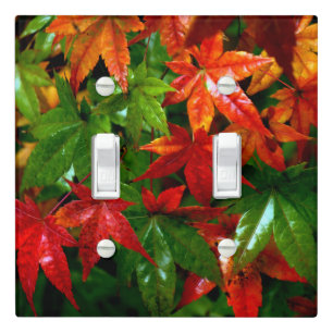Autumn Rain Light Switch Cover