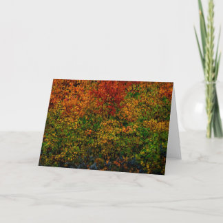 Autumn Rainbow Card
