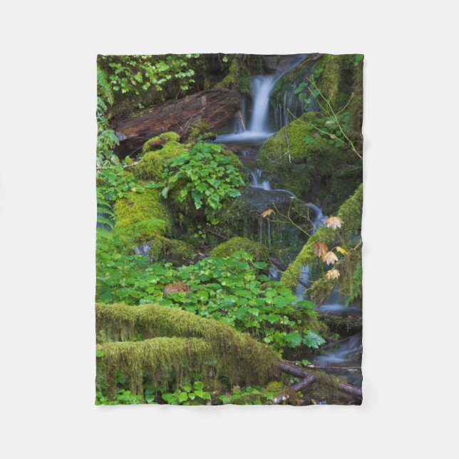 Autumn Rainforest | Olympic National Park Fleece Blanket (Front)