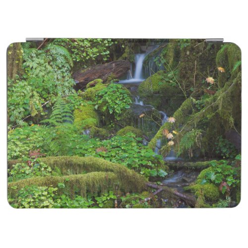 Autumn Rainforest  Olympic National Park iPad Air Cover