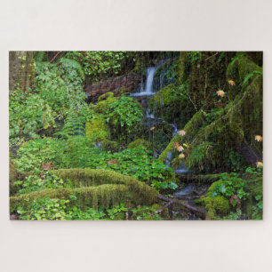 Autumn Rainforest Olympic National Park Jigsaw Puzzle