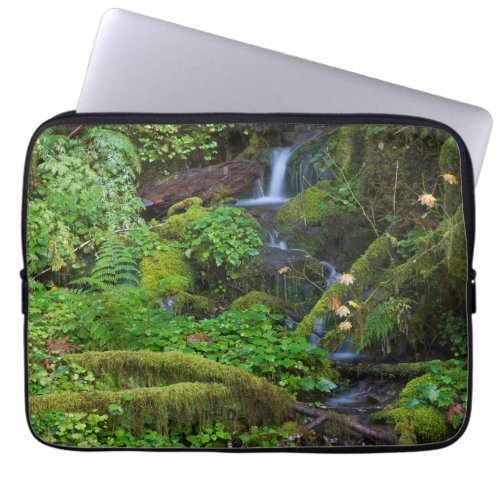 Autumn Rainforest  Olympic National Park Laptop Sleeve