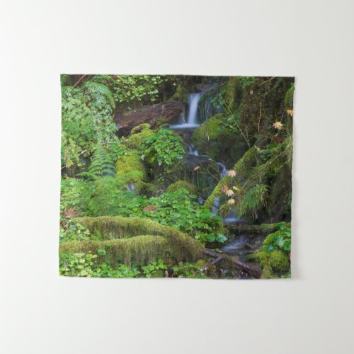 Autumn Rainforest  Olympic National Park Tapestry