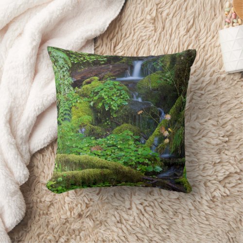 Autumn Rainforest  Olympic National Park Throw Pillow