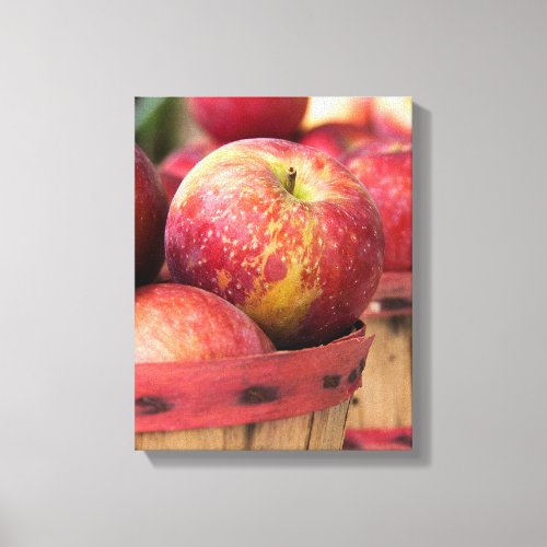 Autumn red apples in basket canvas print