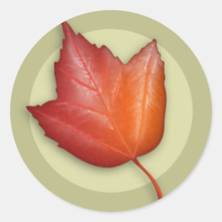 Autumn Red Maple Leaf Round Sticker