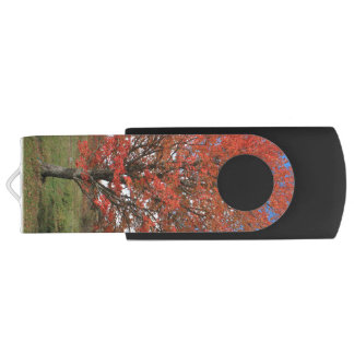 Autumn red maple tree in blue sky picture flash drive