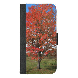 Autumn red maple tree in blue sky Wallet Case