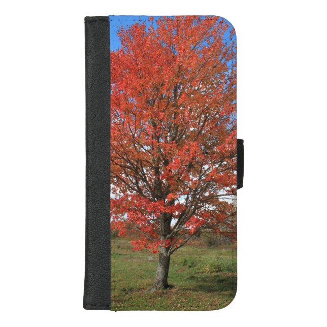 Autumn red maple tree in blue sky Wallet Case (Front)