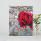 Autumn red rose (Standing Front)