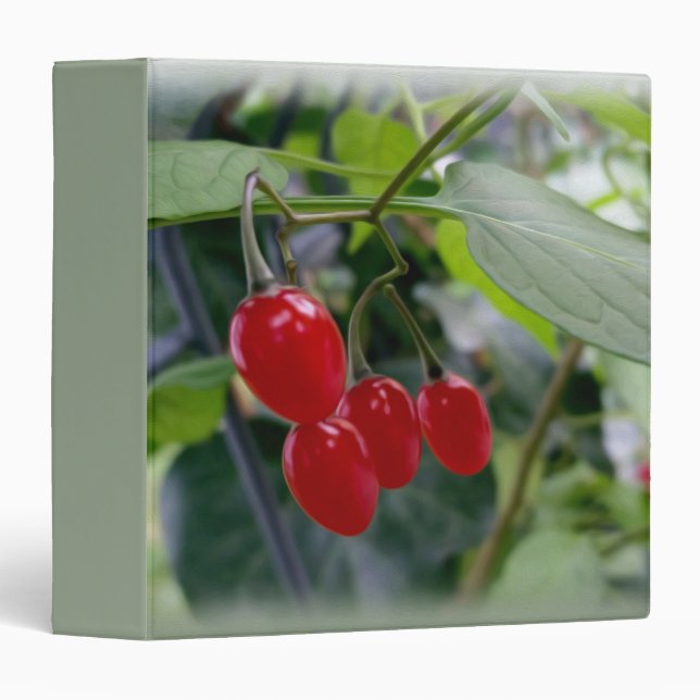 Autumn red spots 3 ring binder (Front/Spine)