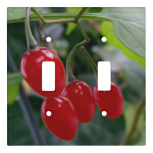 Autumn red spots light switch cover